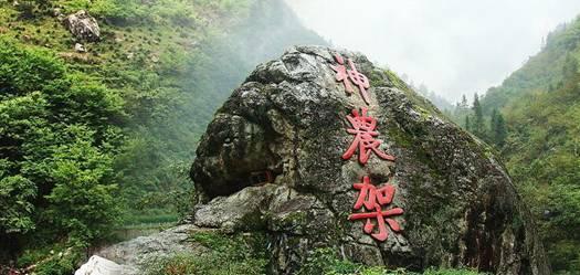 大唐辣妈淋巴养生：守护人体健康的隐秘防线